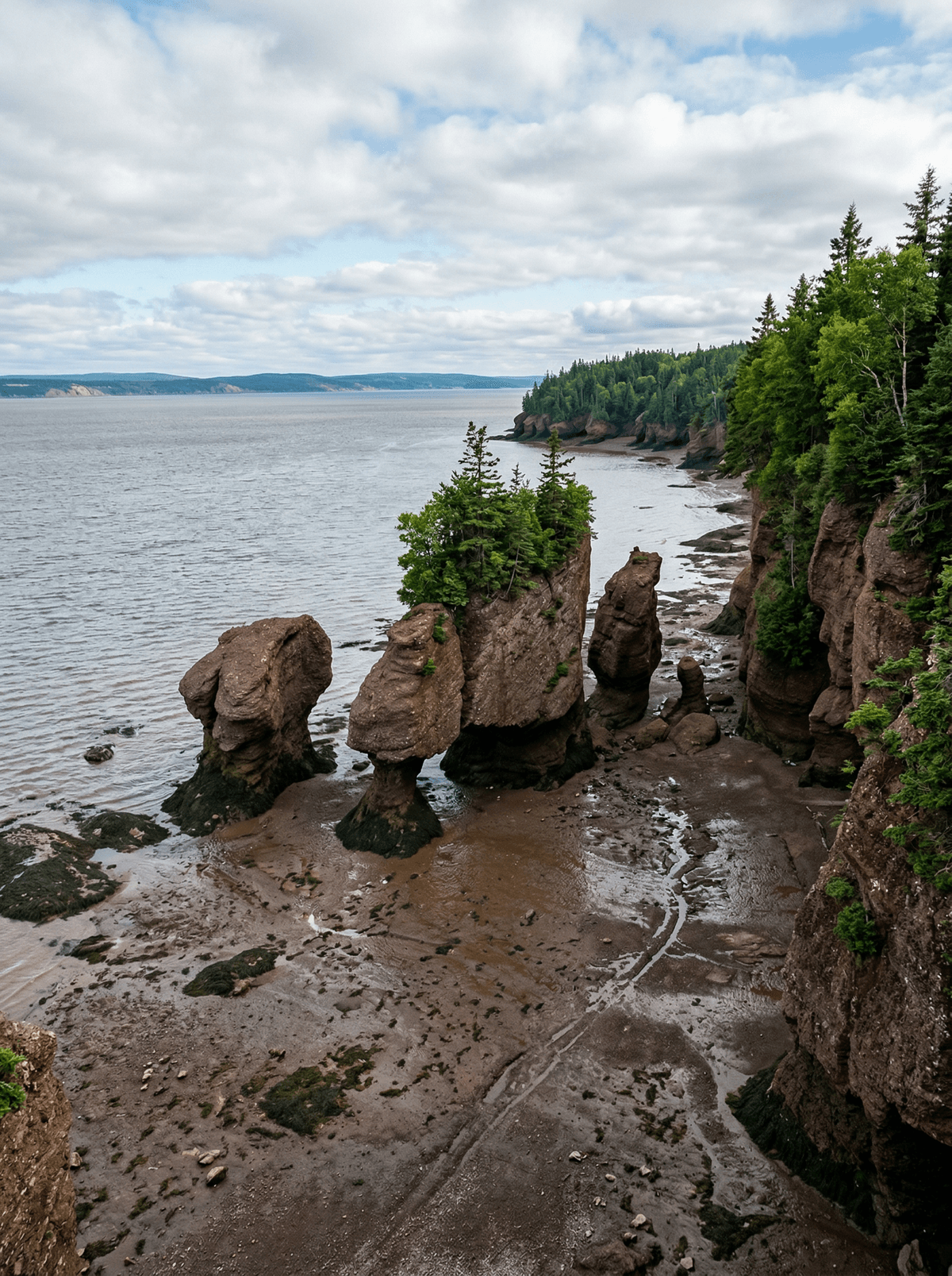 Bay of Fundy, Canada