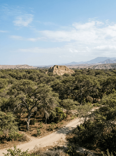 Bosque de Pómac