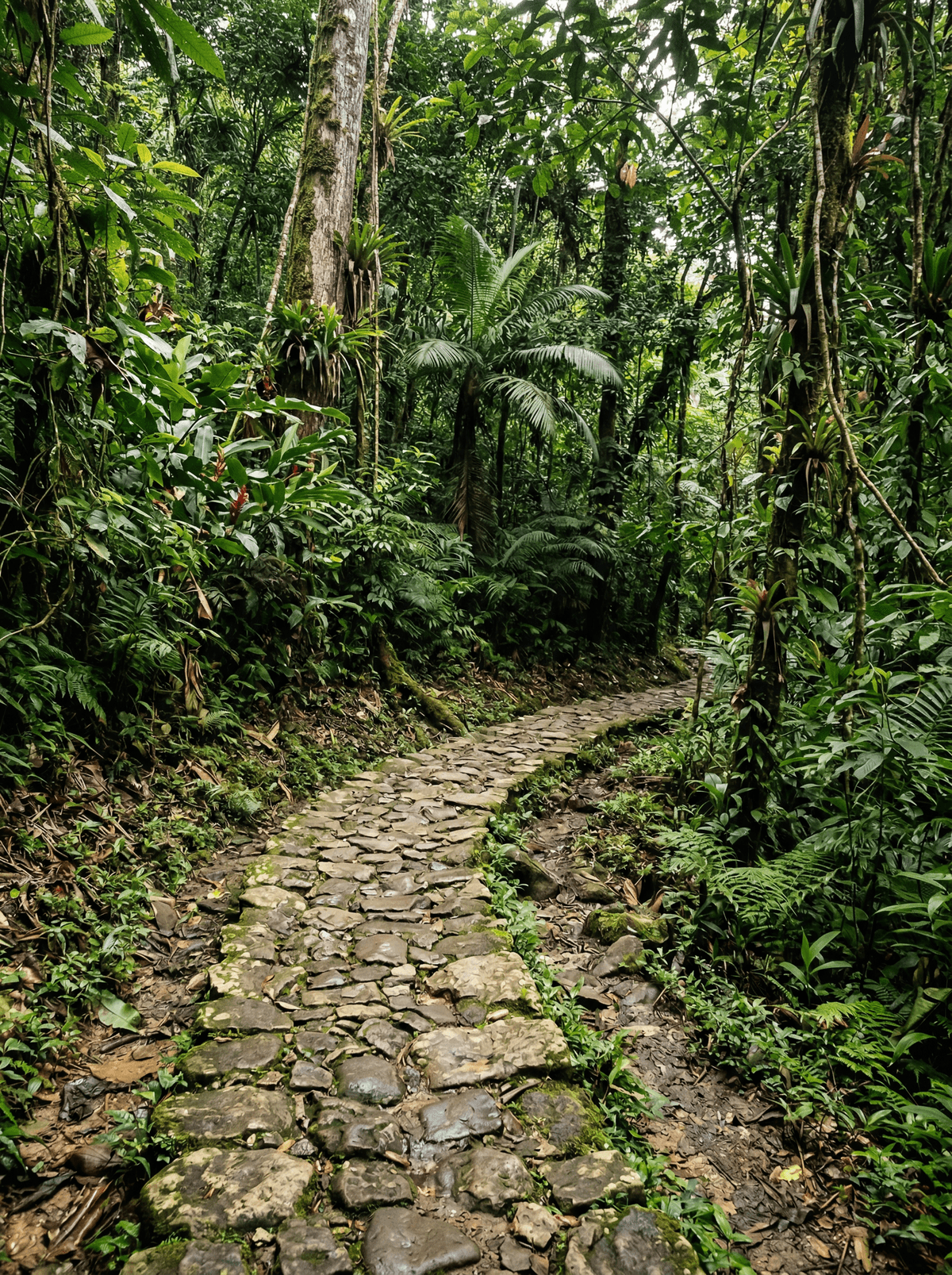 Camino de Cruces, Panama
