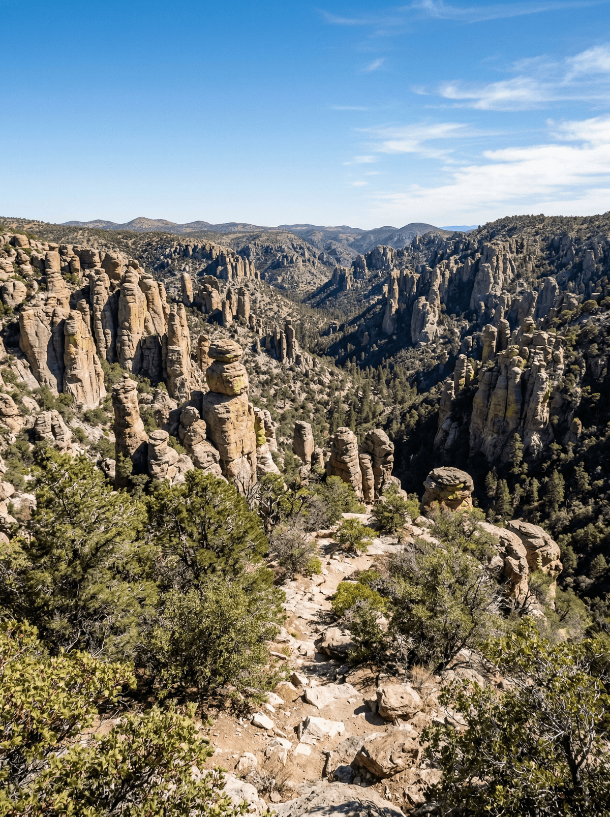 Chiricahua, United States