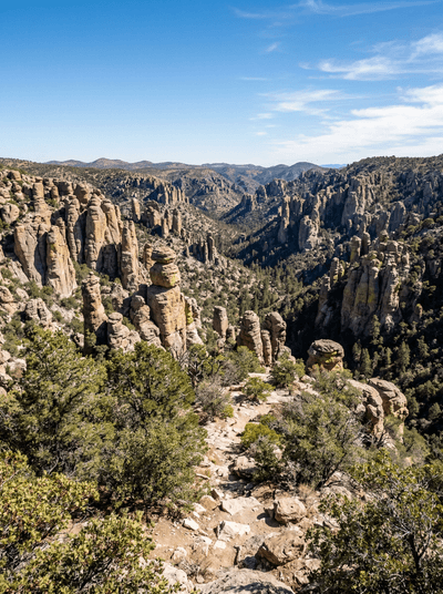 Chiricahua