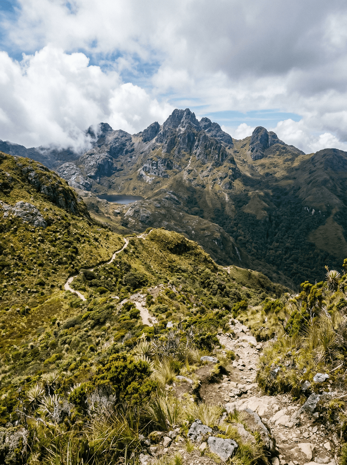 Chirripó National Park, Costa Rica