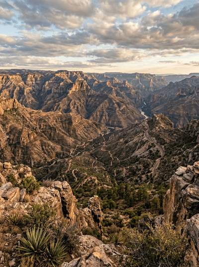 Copper Canyon