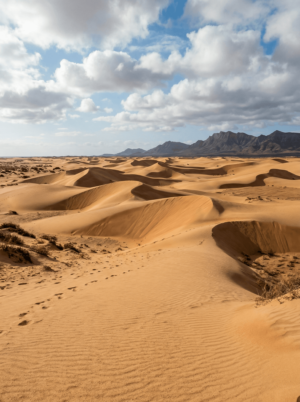 Deserto de Viana, Cape Verde