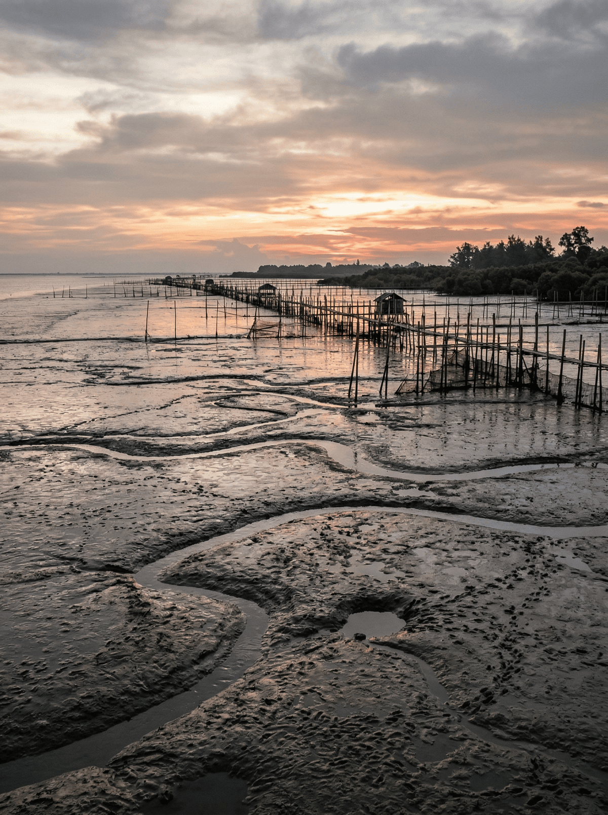 Dong Chau Mudflats, Vietnam
