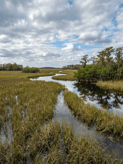 Everglades