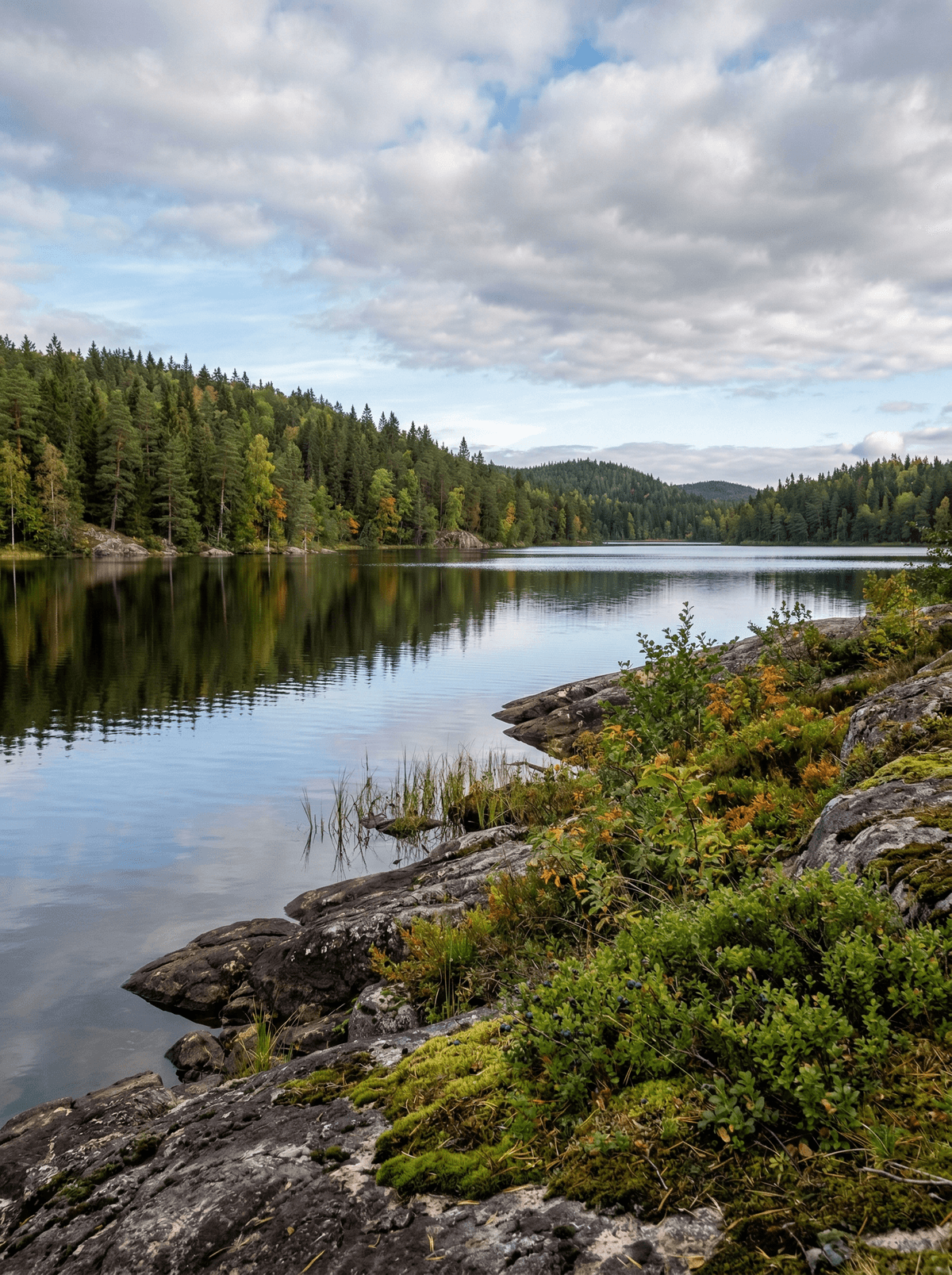 Glaskogen Nature Reserve, Sweden