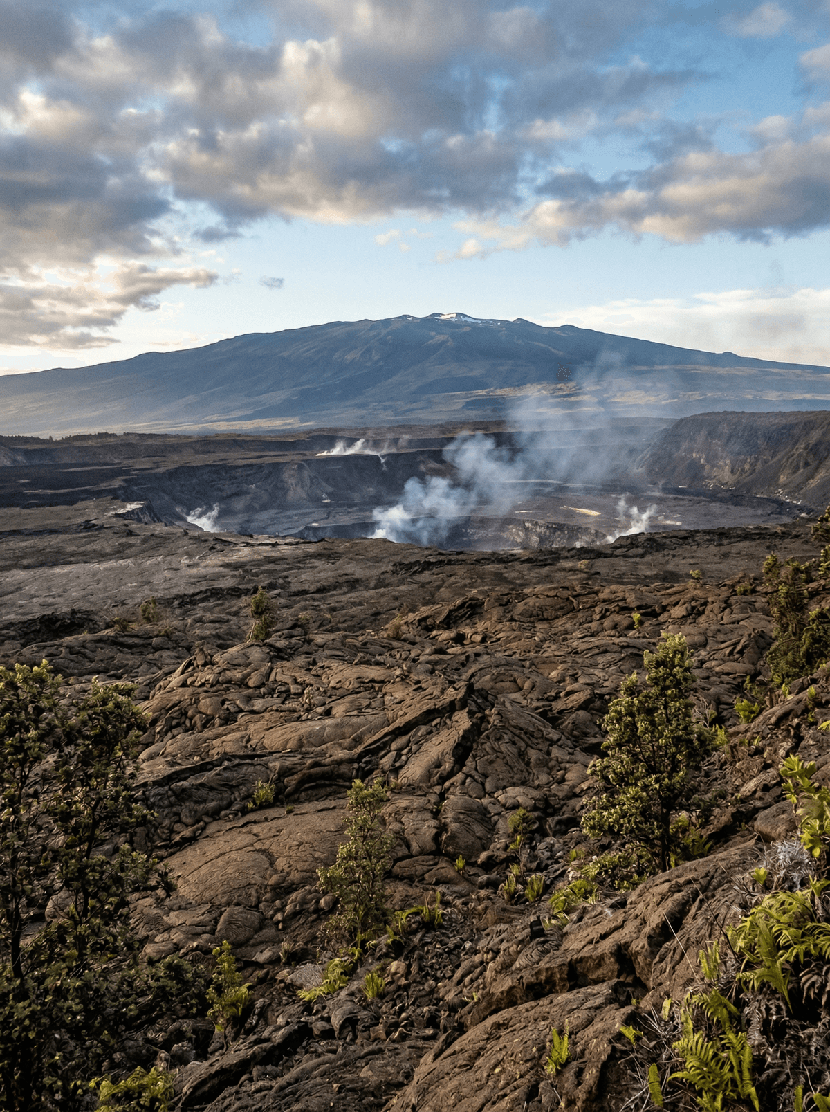 Hawai'i Volcanoes, United States