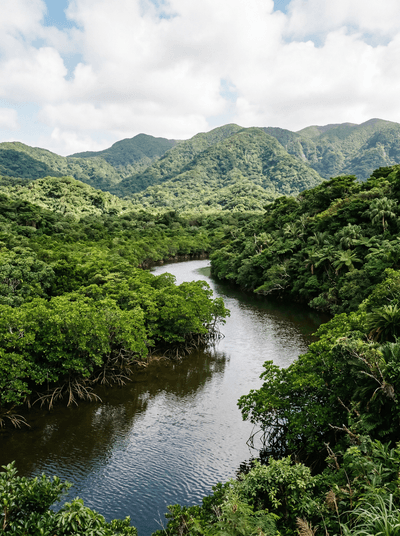 Iriomote