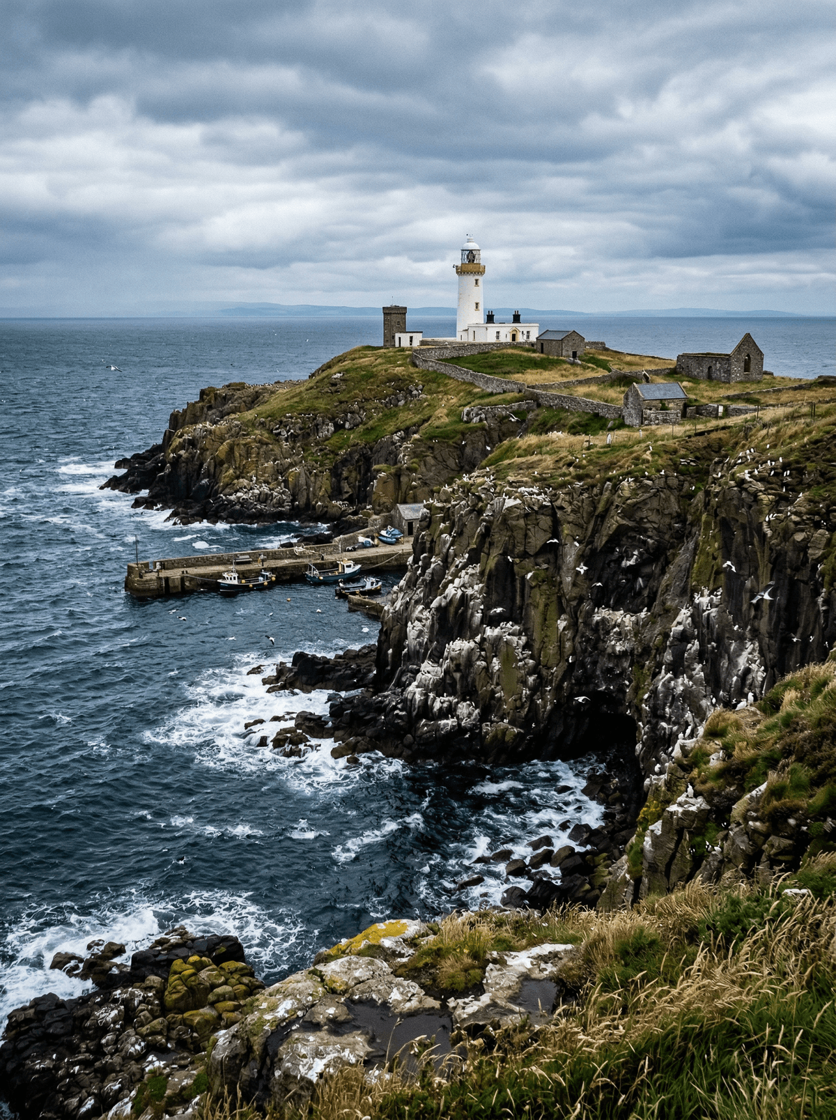 Isle of May, Scotland