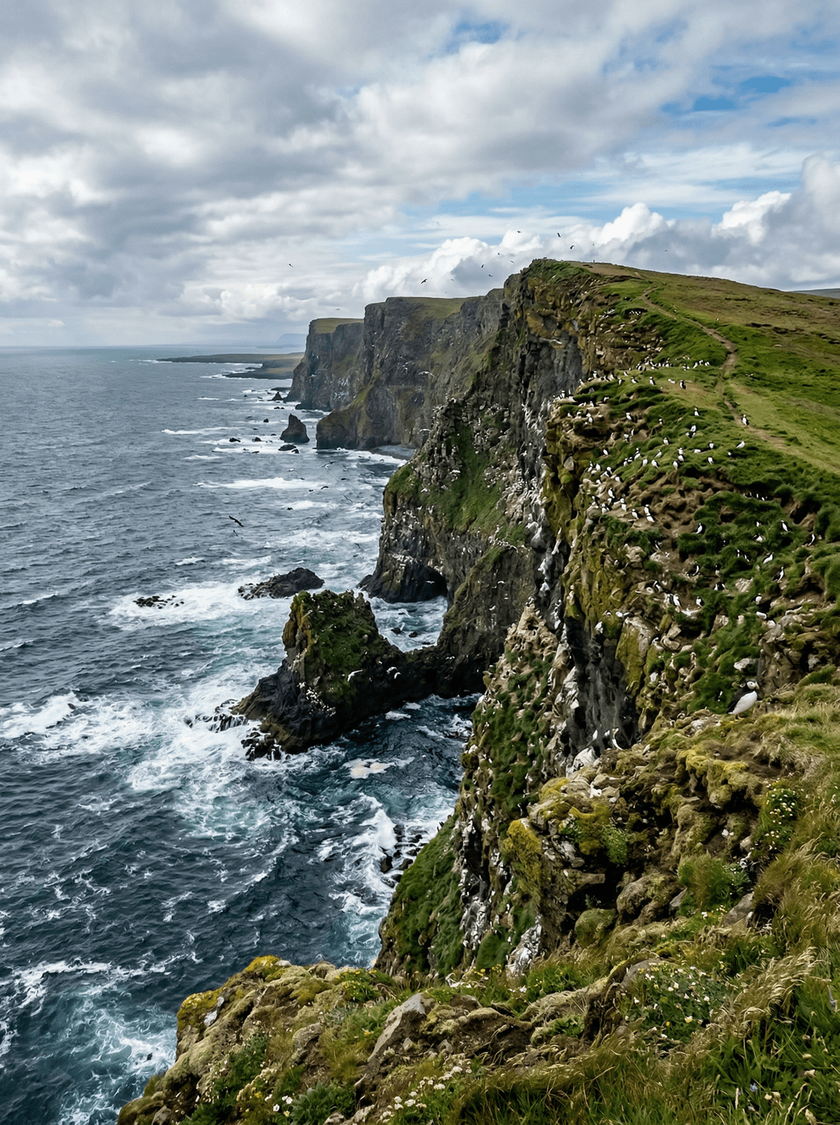 Látrabjarg, Iceland