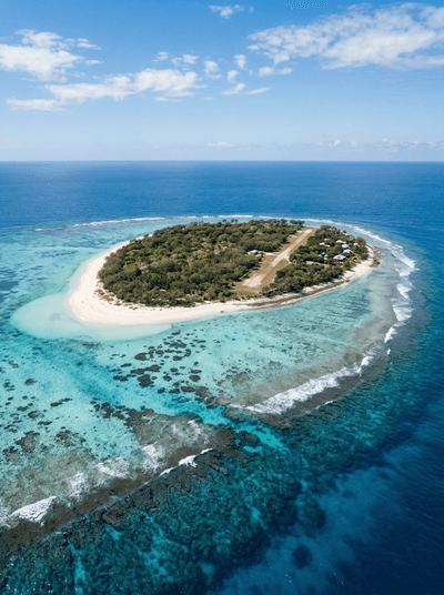 Lady Elliot Island