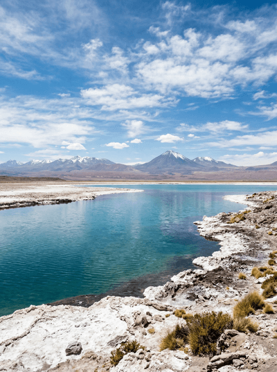 Laguna Cejar
