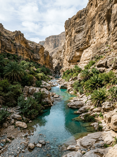 Moola Chotok