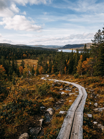 Muddus National Park