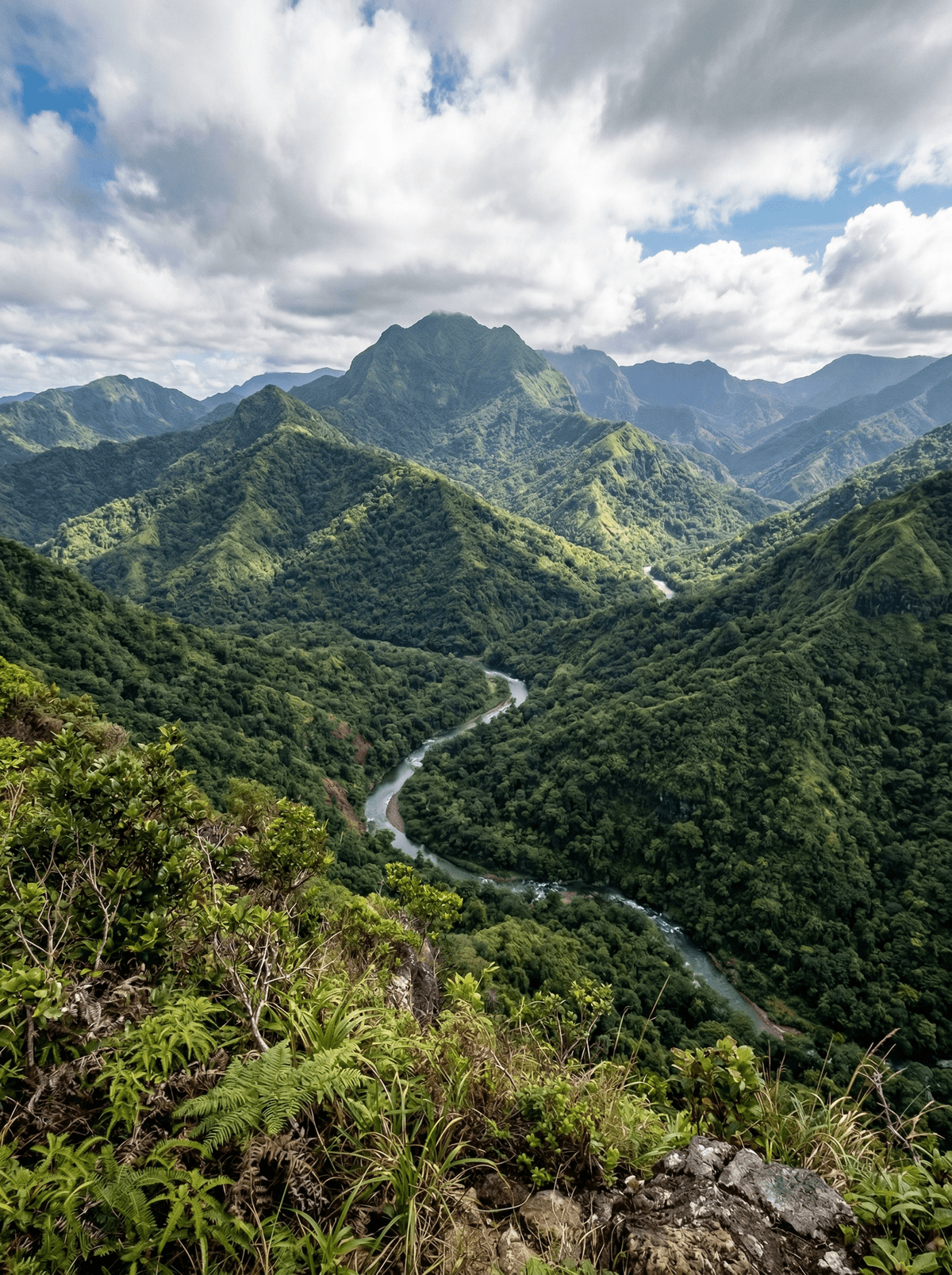 Namosi Highlands, Fiji