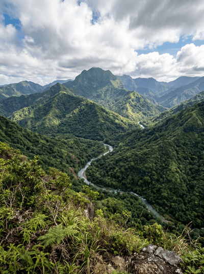 Namosi Highlands
