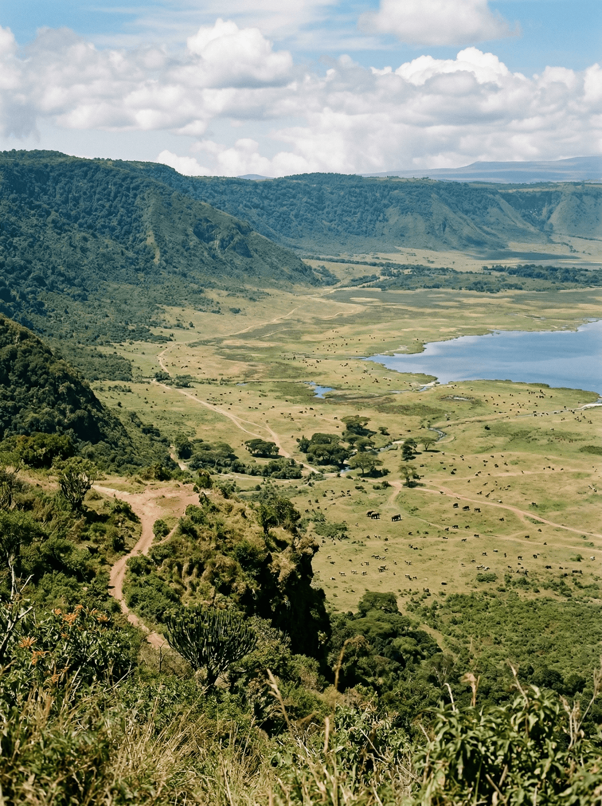 Ngorongoro Crater, Tanzania