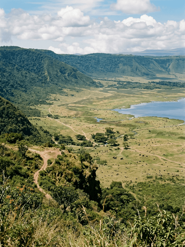 Ngorongoro Crater