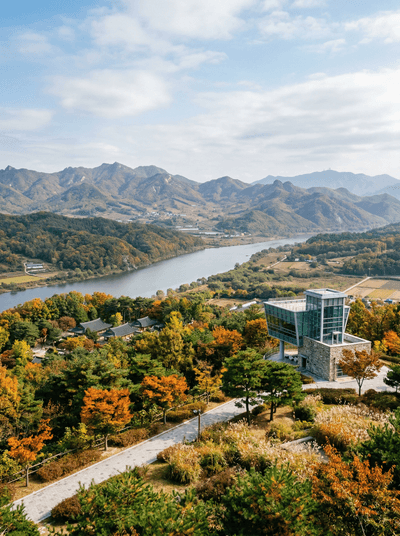 Paju