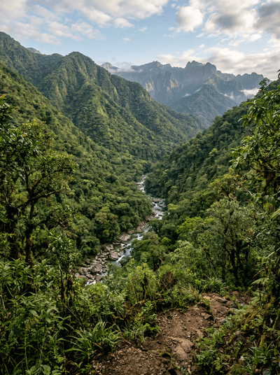 Parque Nacional Calilegua