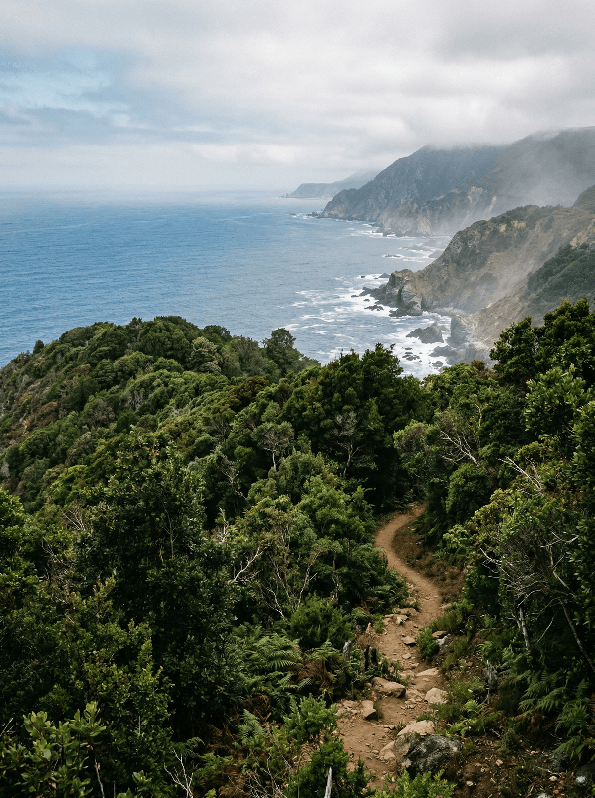 Parque Nacional Fray Jorge, Chile