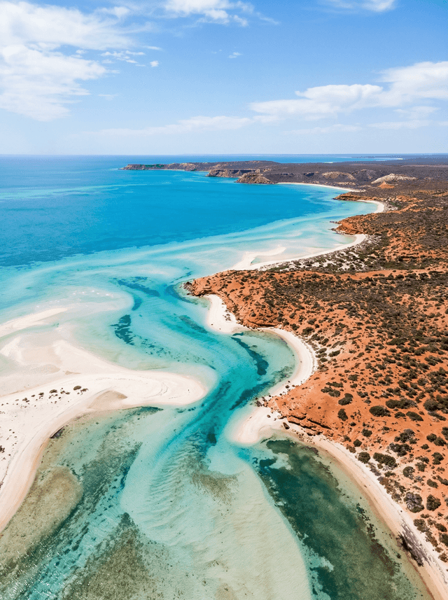 Shark Bay