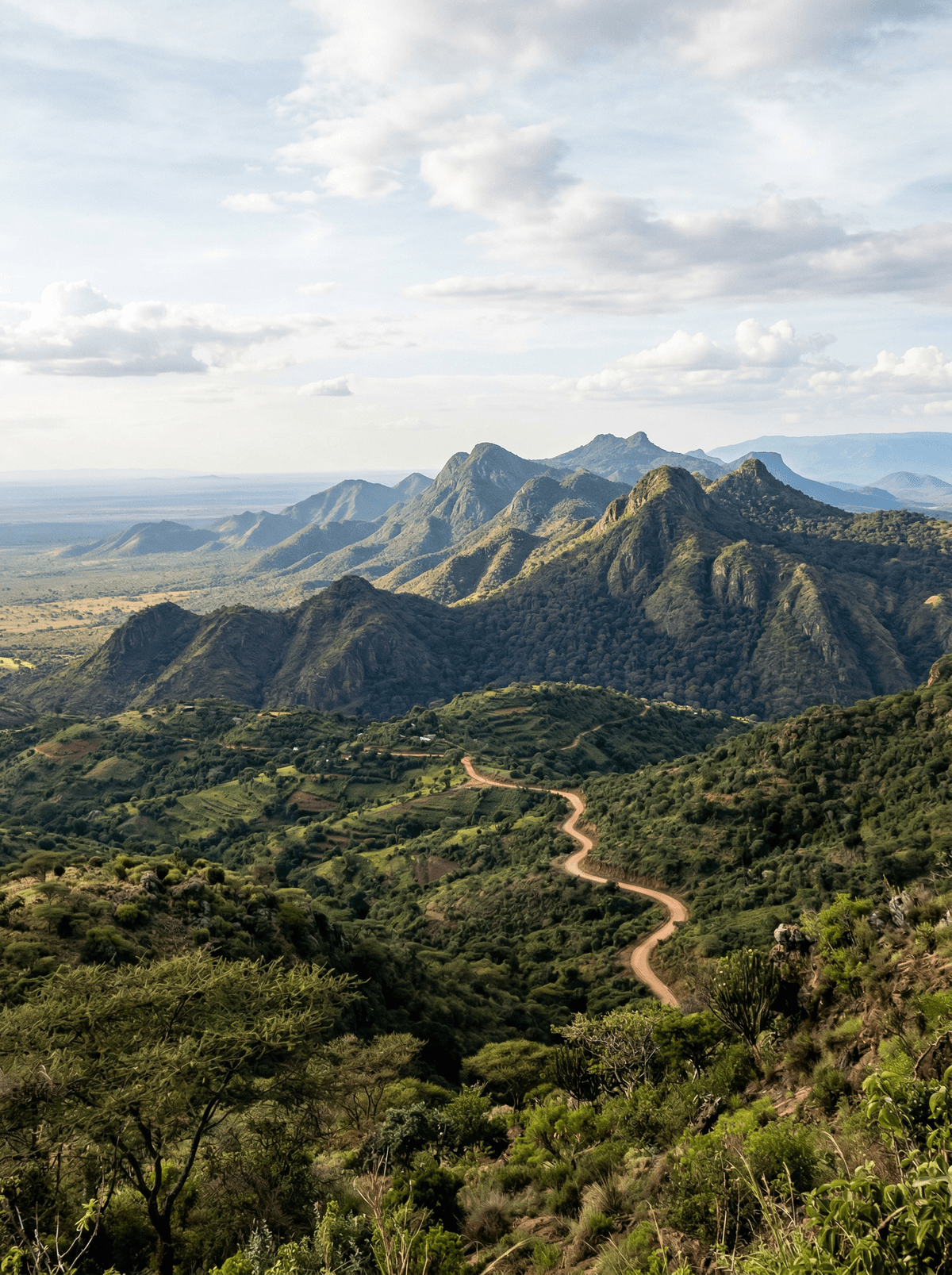 Taita Hills, Kenya