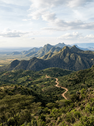 Taita Hills