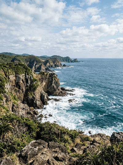 Tanegashima