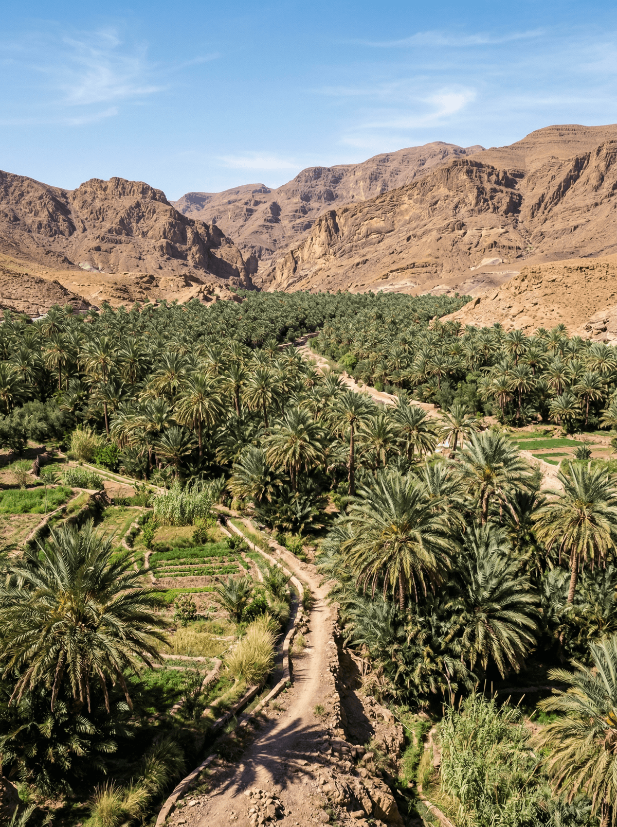 Tata Palm Groves, Morocco