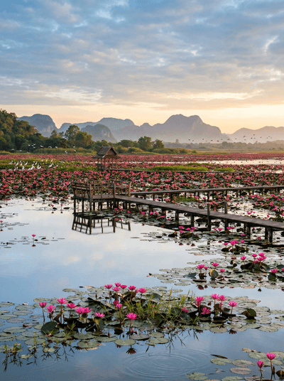 Thale Noi