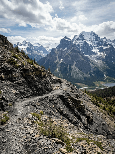 The Burgess Shale