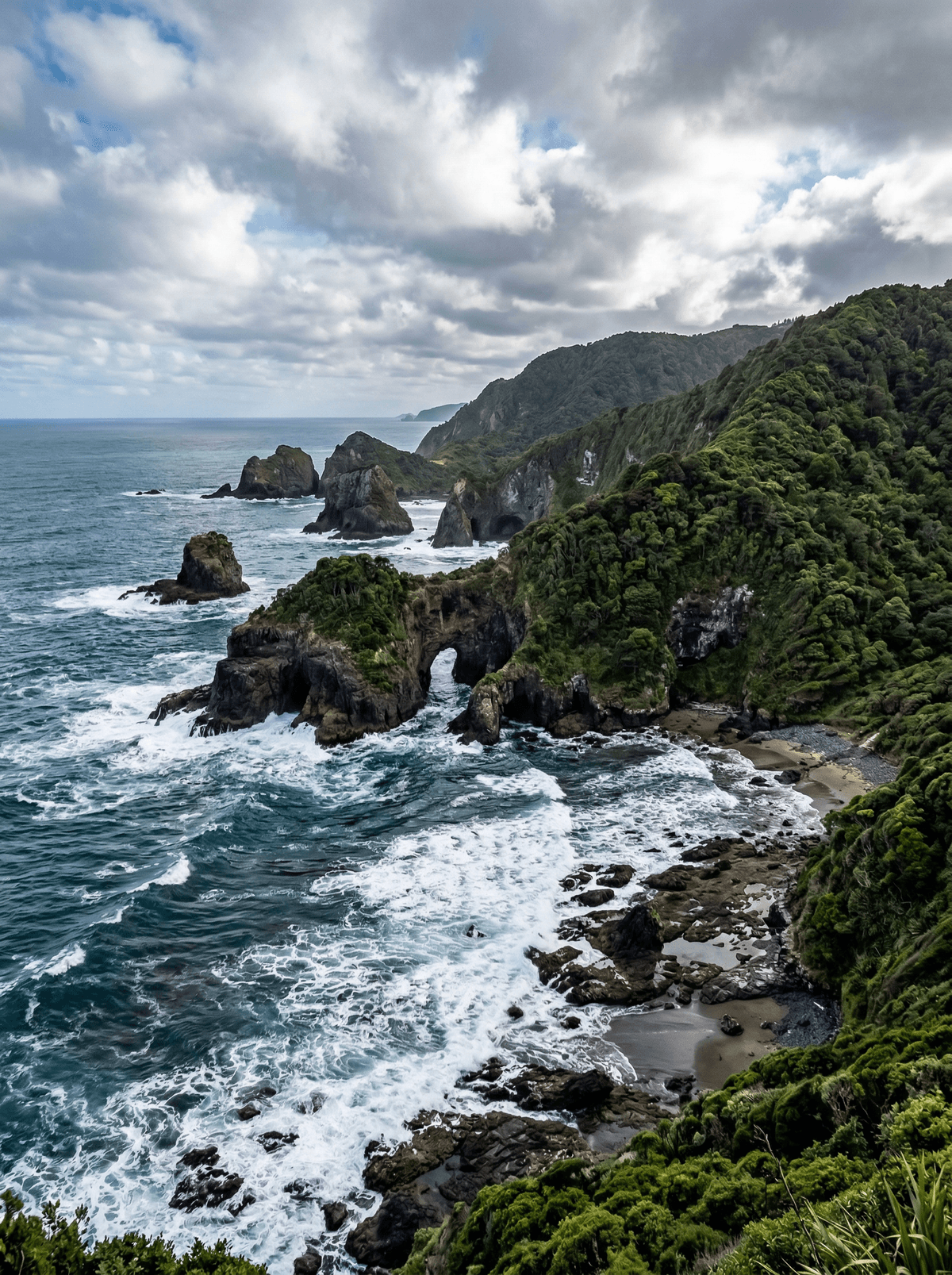 The Catlins, New Zealand