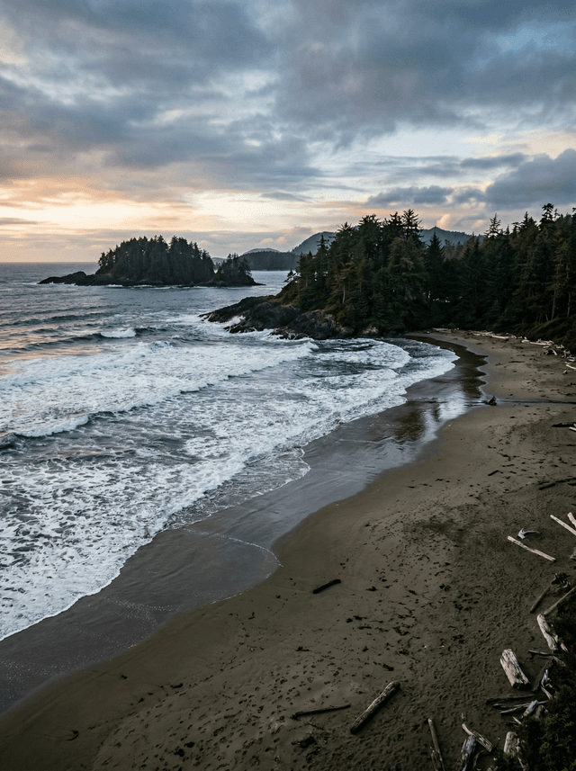 Tofino