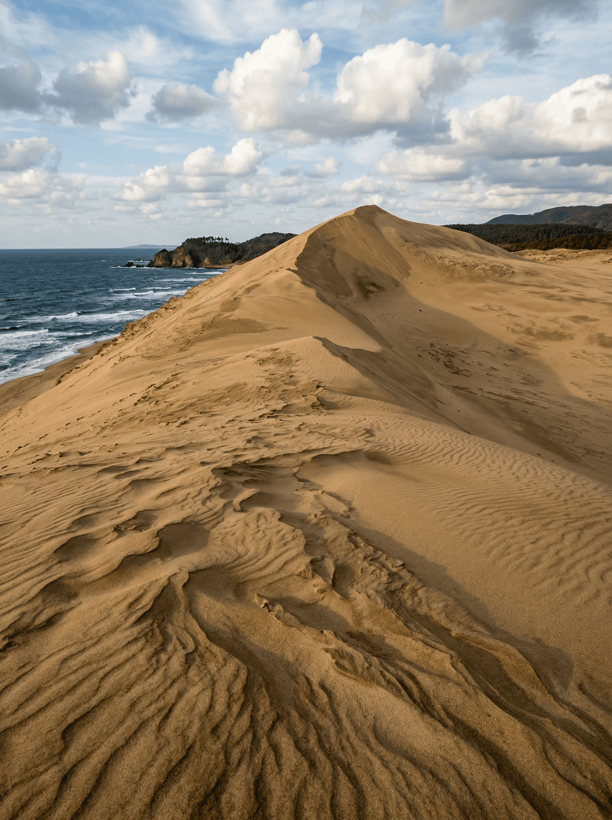 Tottori Sand Dunes, Japan