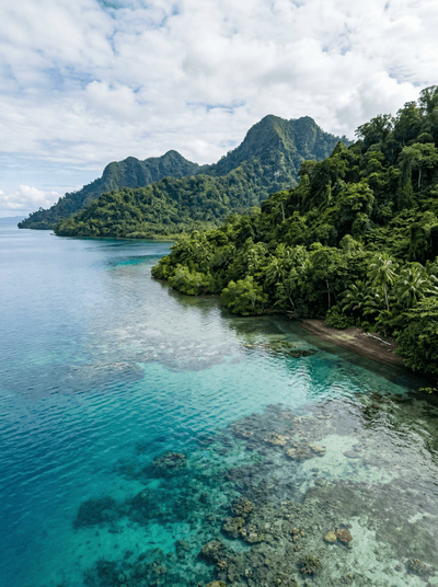 Vangunu Island