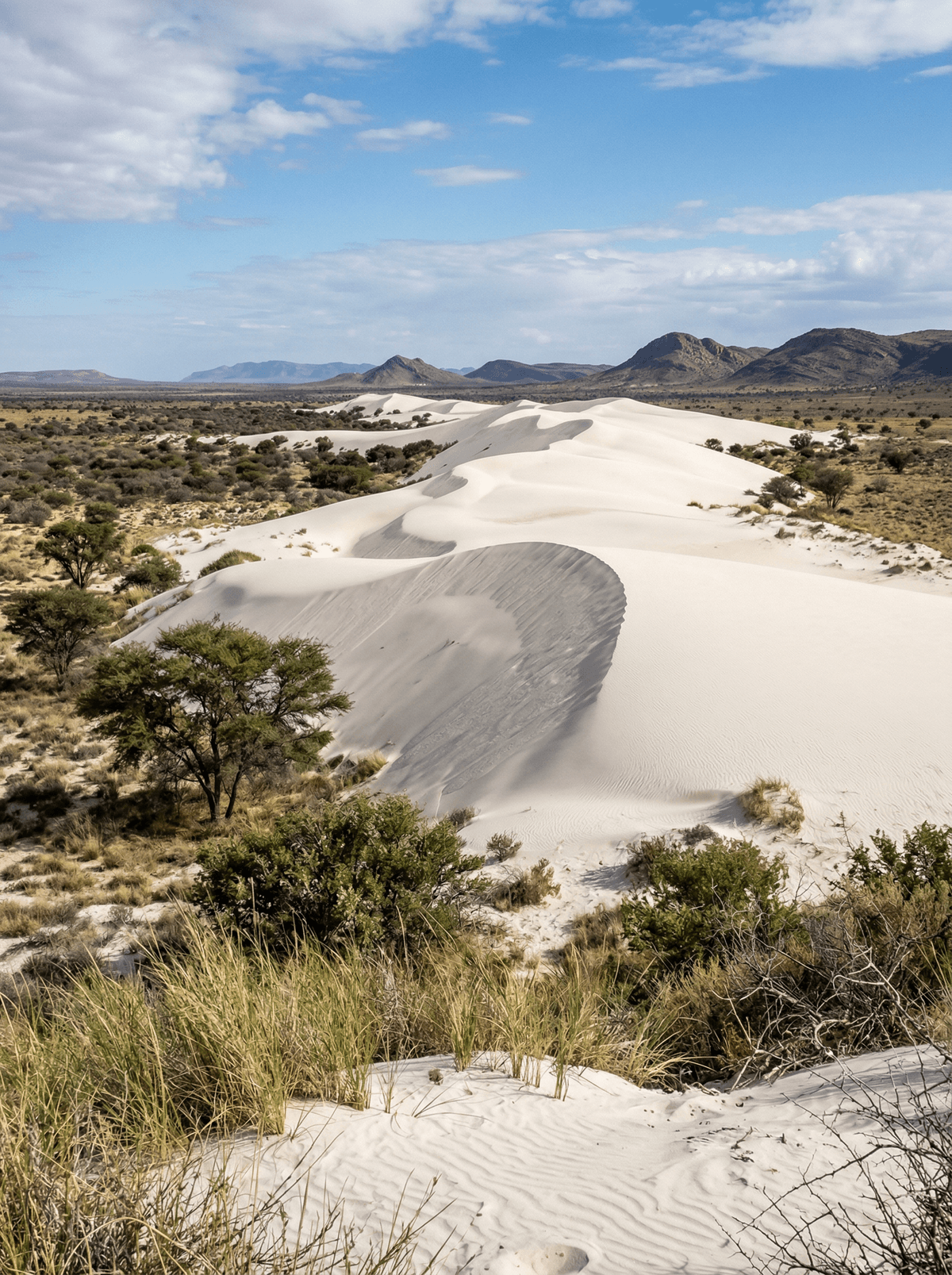 Witsand Nature Reserve, South Africa