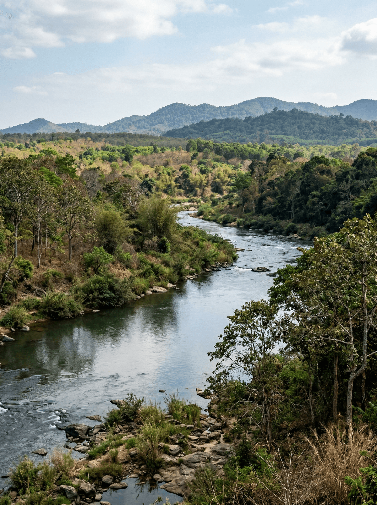 Yok Don National Park, Vietnam