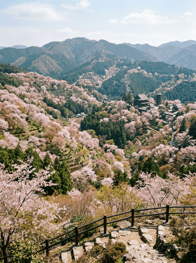 Yoshino
