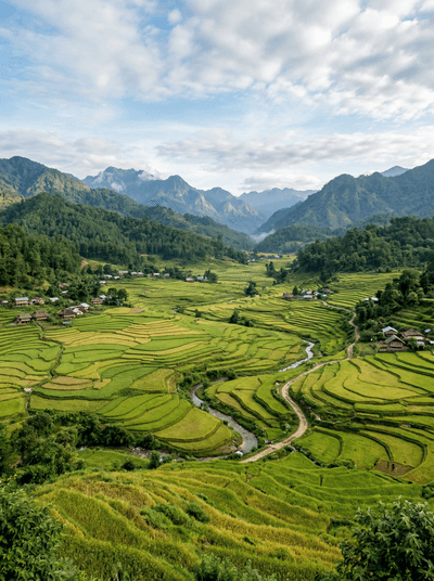 Ziro Valley