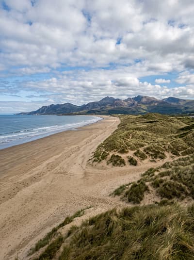 Harlech