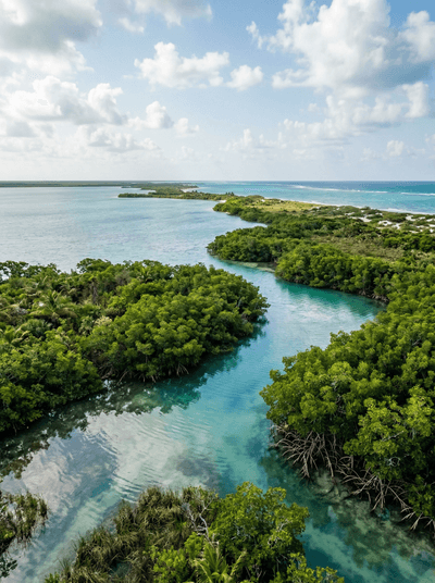 Sian Ka'an Biosphere Reserve